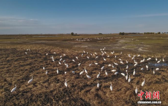 10��16�գ��ڼ���ĪĪ���(gu��)�Ҽ�(j��)��Ȼ���o(h��)�^(q��)��(n��i)���Q����Ϣ��(�o(w��)�˙C(j��)��Ƭ)�w��� �z