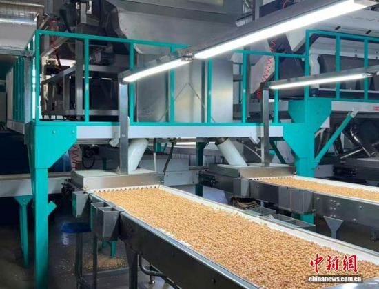 �������a(ch��n)����(�L�����P(gu��n)���D)